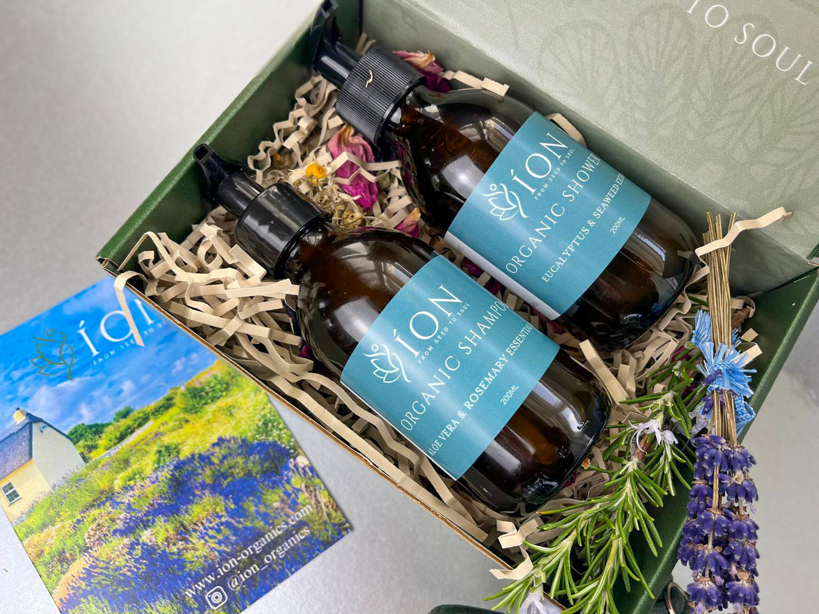 Pamper Bundle | Organic Shampoo & Organic Shower Gel 200ml