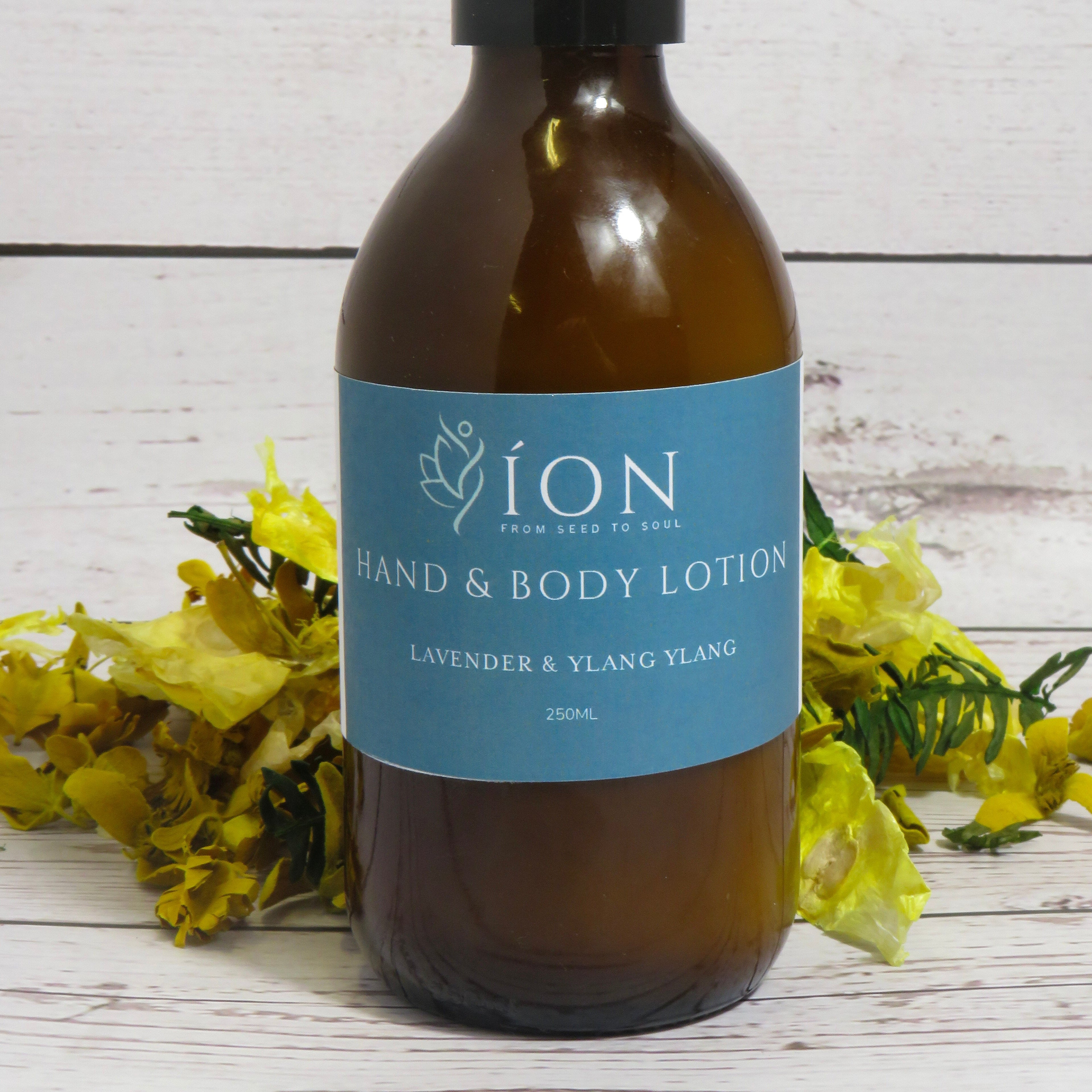 Hand & Body Lotion | Lavender & Ylang Ylang
