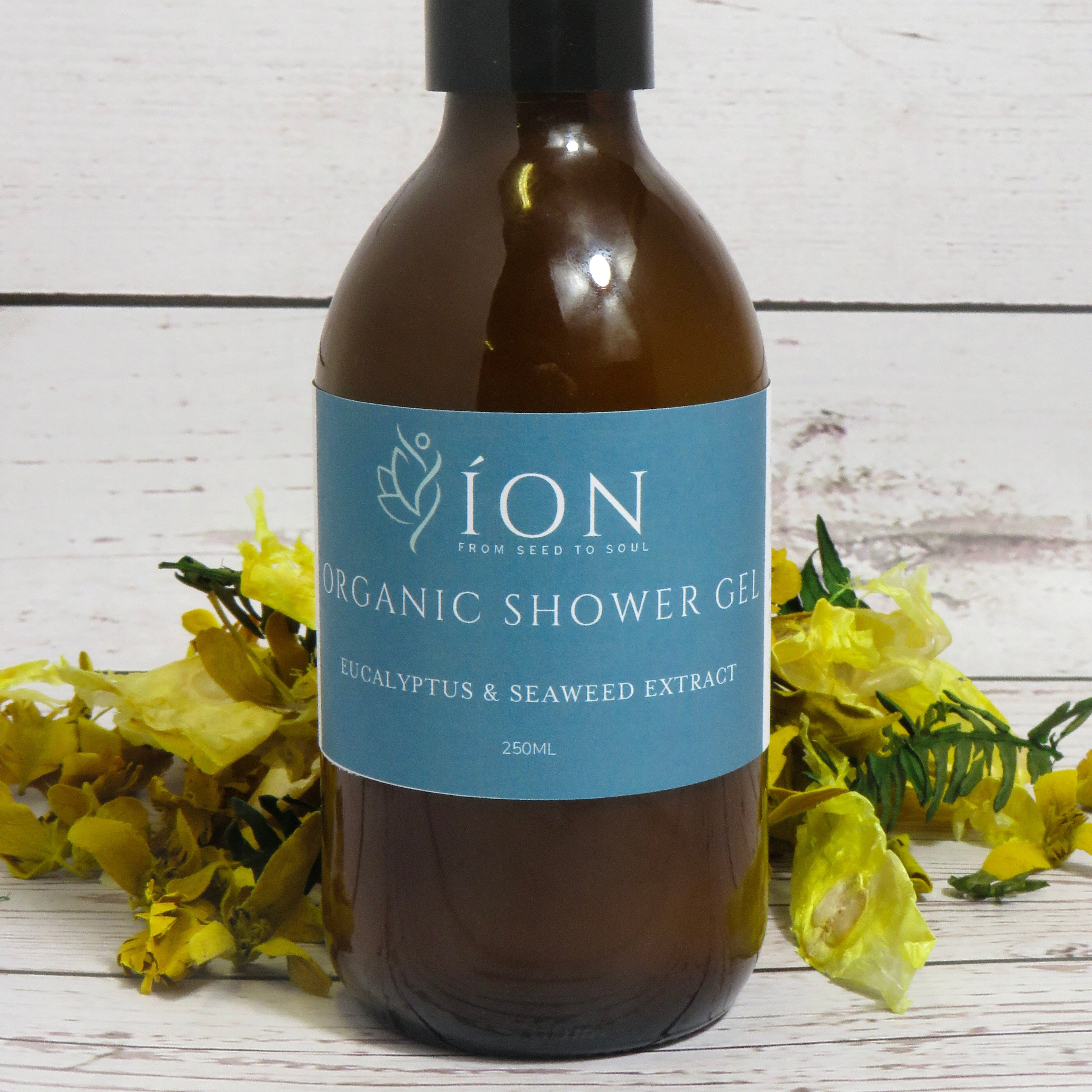Organic Shower Gel | Eucalyptus & Seaweed Extract