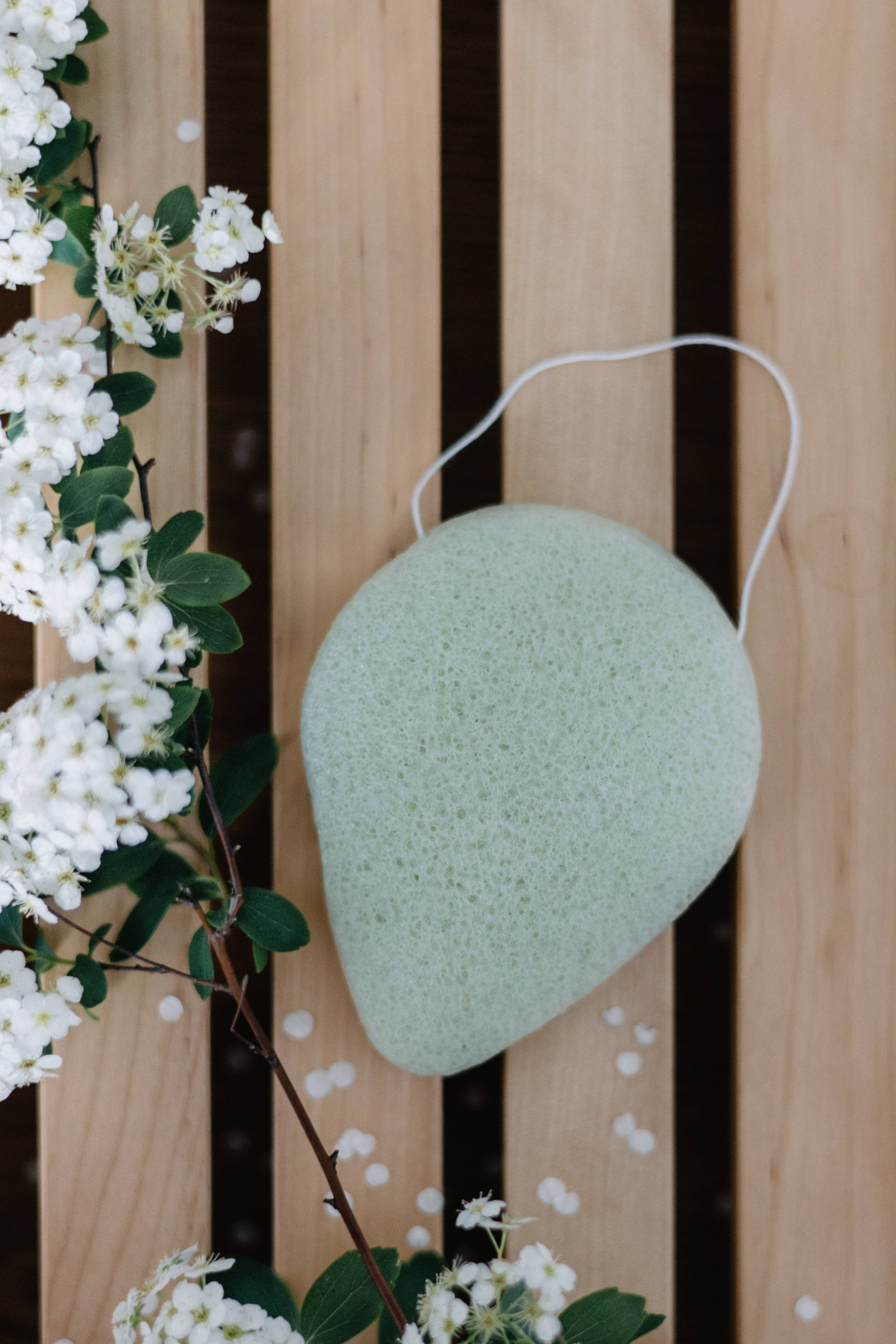 Konjac sponge green aloe vera for dry skin, vegan
