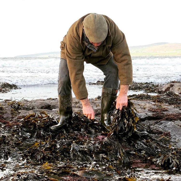 Irish Organic Seaweed and Herbal Foot Spa